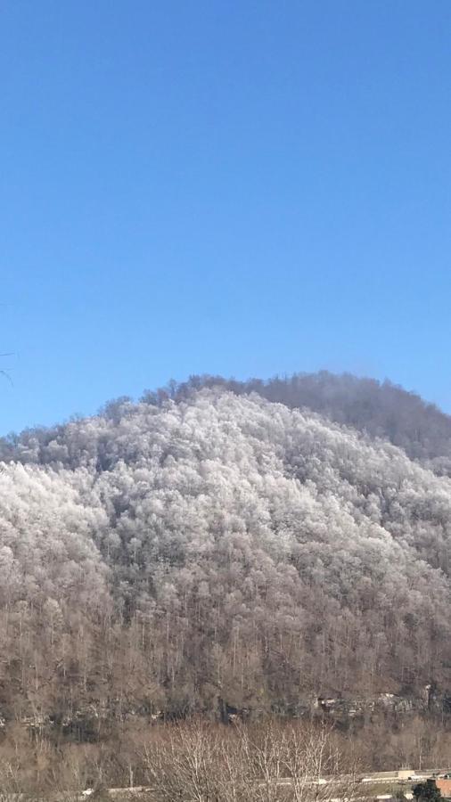 Pine Mountain Inn Pineville Dış mekan fotoğraf