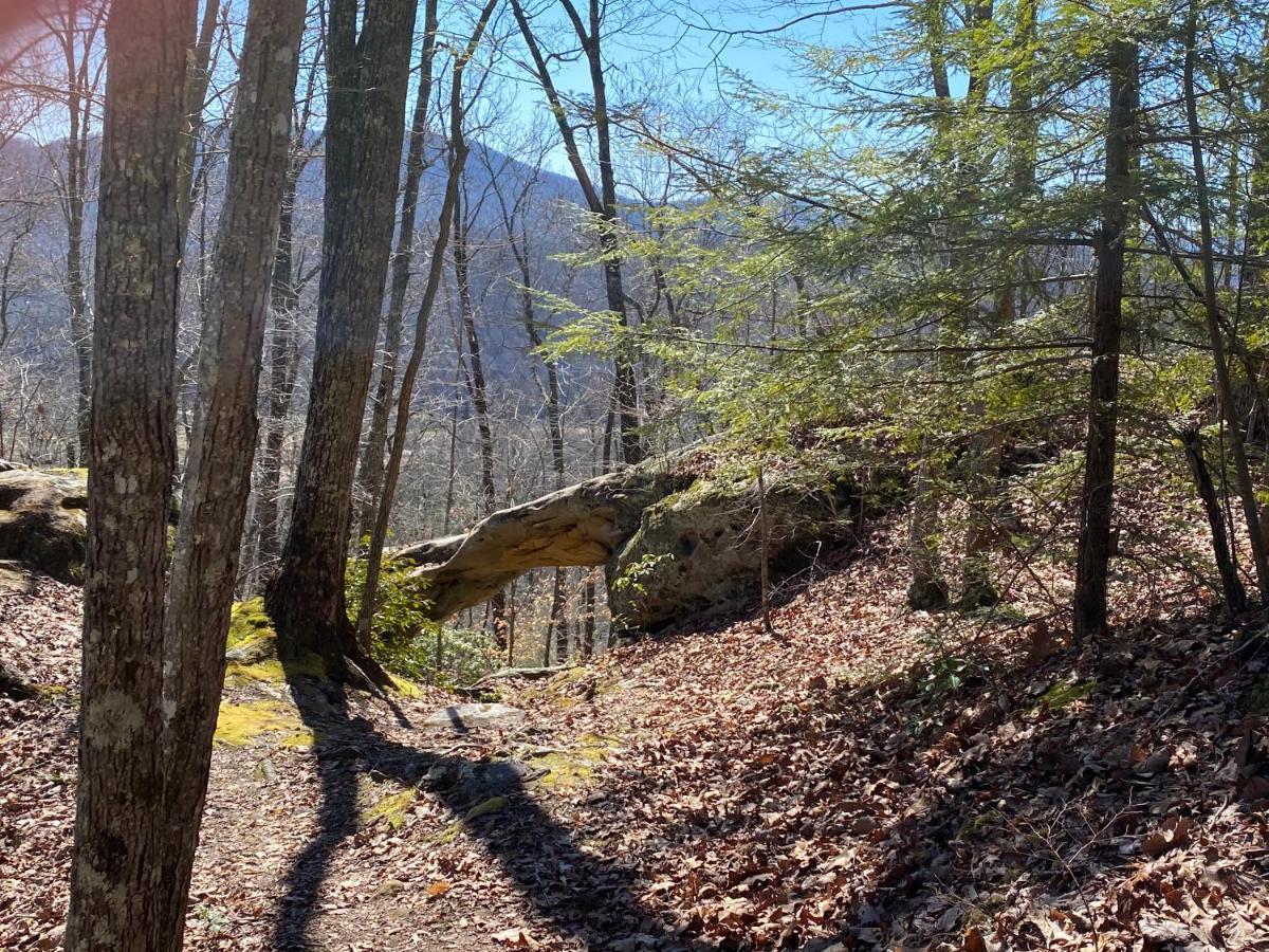 Pine Mountain Inn Pineville Dış mekan fotoğraf